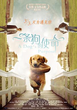 99精品国产一区二区三区